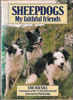 Seller image for SHEEPDOGS: MY FAITHFUL FRIENDS. By Eric Halsall. for sale by Coch-y-Bonddu Books Ltd