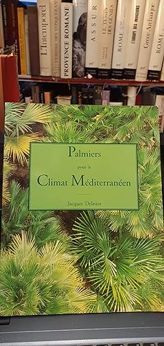 Palmiers pour le climat méditerranéen