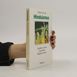 Bild des Verkufers fr Der Hinduismus zum Verkauf von Bookbot