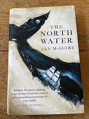 Imagen del vendedor de The North Water a la venta por Mungobooks