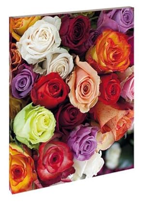 Image du vendeur pour Roses mis en vente par BuchWeltWeit Ludwig Meier e.K.
