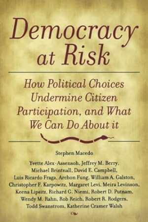 Seller image for Democracy at Risk: How Political Choices Undermine Citizen Participation, and What We Can Do About It for sale by ZBK Books