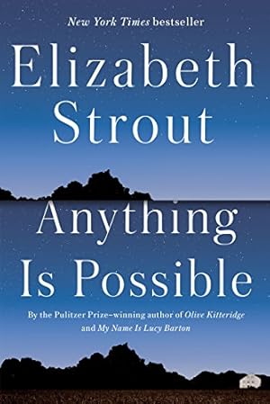 Imagen del vendedor de Anything Is Possible: A Novel a la venta por ZBK Books