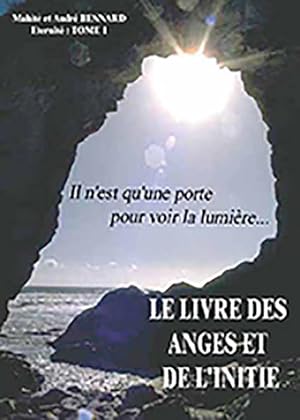 Seller image for le livre des anges et de l'initi (rdition): il n'est qu'une porte pour voir la lumire for sale by Dmons et Merveilles