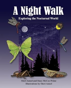 Bild des Verkufers fr A Night Walk: Exploring the Nocturnal World (Paperback or Softback) zum Verkauf von BargainBookStores