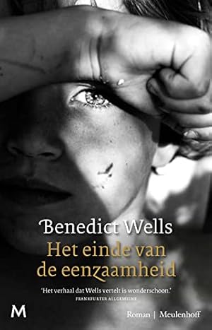 Seller image for Het einde van de eenzaamheid for sale by WeBuyBooks