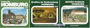 Erleben Sie Homburg Saar + Grottes du Schlossberg Homburg Saar + Musée romain Homburg Sarre Schwa...