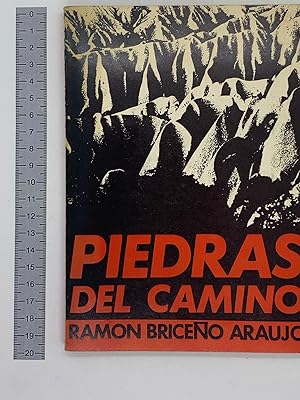 Seller image for Piedras Del Camino for sale by biblioaxes
