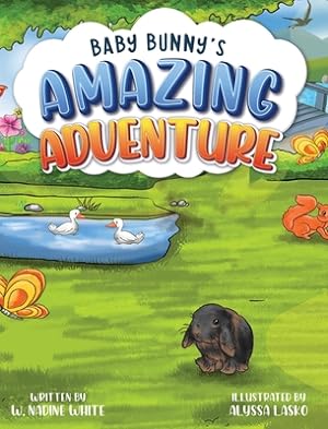 Seller image for Baby Bunny's Amazing Adventure (Hardback or Cased Book) for sale by BargainBookStores