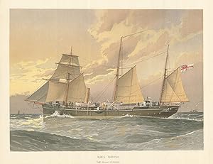 H.M.S. "Thrush" - 1st class gunboat [1889]