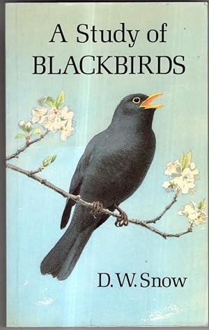 Imagen del vendedor de Study of Blackbirds a la venta por High Street Books