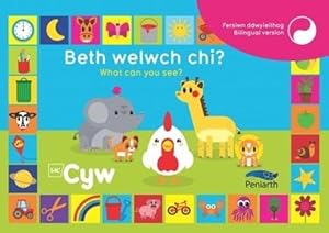 Immagine del venditore per Beth Welwch Chi? What Can You See? Cyw venduto da WeBuyBooks