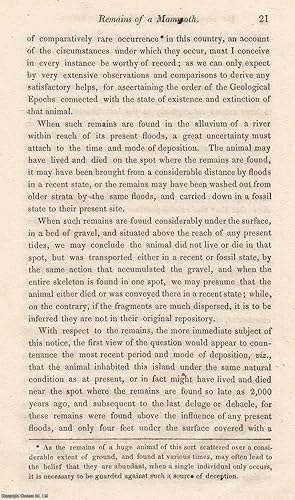 Image du vendeur pour Account of The Remains of a Mammoth Found Near Rochester, with some General Observations, Connected with the Subject. By Captain James Vetch. An uncommon original article from the Journal of Science and the Arts, edited by the Royal Institution of Great Britain, 1821. mis en vente par Cosmo Books