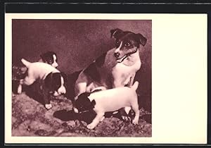 Ansichtskarte Verein der Vivisektionsgegner, Terrier mit Welpen