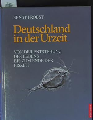 Imagen del vendedor de Deutschland in der Urzeit. a la venta por Antiquariat Bookfarm