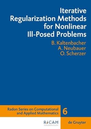 Immagine del venditore per Iterative Regularization Methods for Nonlinear Ill-Posed Problems venduto da BuchWeltWeit Ludwig Meier e.K.