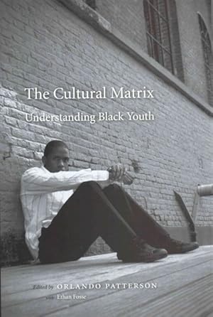 Seller image for Cultural Matrix : Understanding Black Youth for sale by GreatBookPricesUK