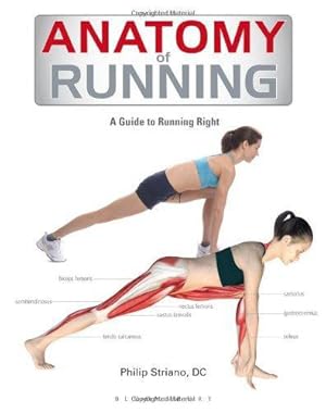 Bild des Verkufers fr Anatomy of Running: A Guide to Running Right zum Verkauf von WeBuyBooks