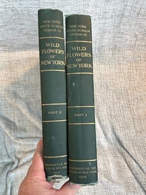 Image du vendeur pour Wild Flowers of New York. New York State Museum Memoir 15. Two Volume Set mis en vente par Anytime Books