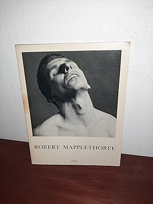 Seller image for Robert Mapplethorpe: Foto's / Photographs for sale by AwardWinningBooks