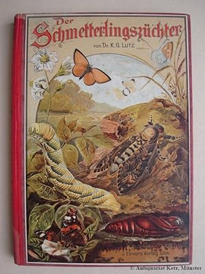 Der Schmetterlingszüchter. Lebens- und Entwicklungsweise unserer einheimischen Schmetterlinge neb...