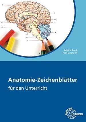 Immagine del venditore per Anatomie Zeichenbltter : Fr den Unterricht venduto da AHA-BUCH GmbH