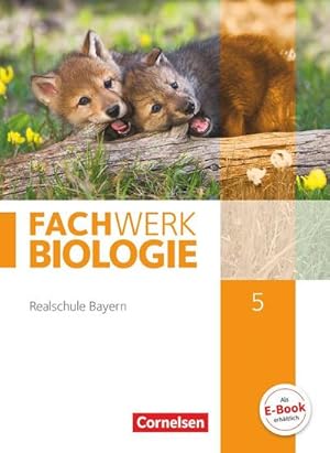 Immagine del venditore per Fachwerk Biologie 5. Jahrgangsstufe - Realschule Bayern - Schlerbuch venduto da AHA-BUCH GmbH