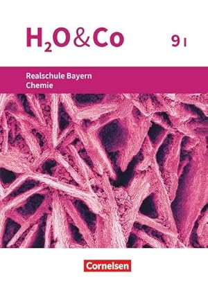 Seller image for H2O & Co 9. Schuljahr - Wahlpflichtfchergruppe I - Realschule Bayern - Schlerbuch for sale by AHA-BUCH GmbH