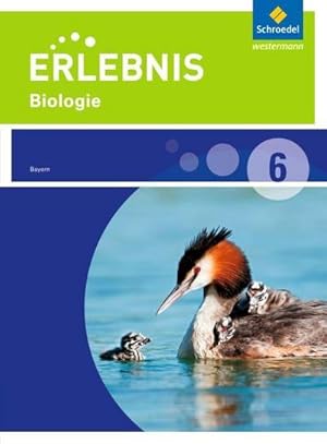Imagen del vendedor de Erlebnis Biologie 6. Schlerband. Realschule. Bayern : Ausgabe 2016 a la venta por AHA-BUCH GmbH
