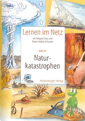 Bild des Verkufers fr Lernen im Netz 31. Naturkatastrophen : Fcherbergreifende Arbeitsreihe mit dem Schwerpunkt Sachunterricht zum Verkauf von AHA-BUCH GmbH