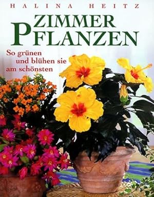 Bild des Verkufers fr Zimmerpflanzen zum Verkauf von getbooks GmbH