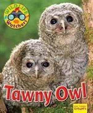 Bild des Verkufers fr Wildlife Watchers: Tawny Owl zum Verkauf von Smartbuy