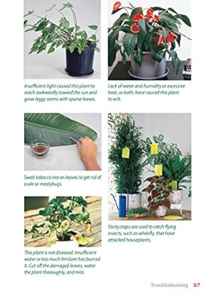 Seller image for Pocket Guide to Houseplants: Over 240 Easy-Care Favorites (Creative Homeowner) Complete Plant Guide with Over 300 Photos and Illustrations in a Handy 5 x 7 Size to Help You Choose Plants at the Store for sale by -OnTimeBooks-