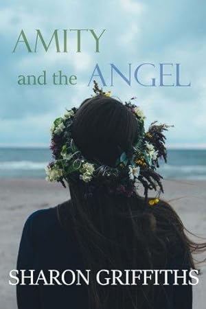 Imagen del vendedor de Amity and the Angel a la venta por WeBuyBooks 2