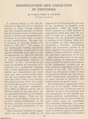 Immagine del venditore per Organization and Variation in Protozoa. An original article from The Scientific Monthly, 1926. venduto da Cosmo Books