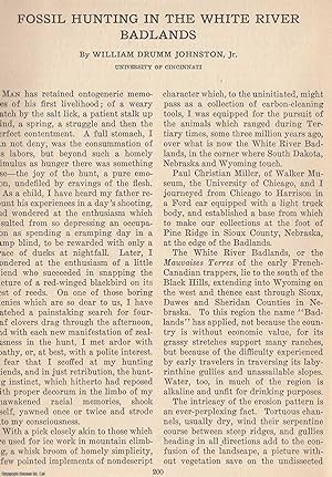 Imagen del vendedor de Fossil Hunting in The White River Badlands. An original article from The Scientific Monthly, 1926. a la venta por Cosmo Books
