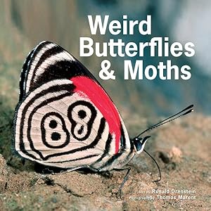 Bild des Verkufers fr Weird Butterflies & Moths zum Verkauf von GreatBookPricesUK