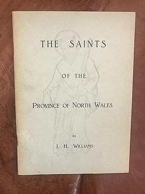 Seller image for The Saints Of The Province Of North Wales for sale by Three Geese in Flight Celtic Books