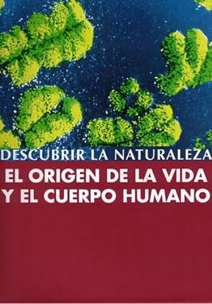 El origen de la vida y el cuerpo humano