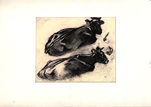 Zwei Kühe. [Signierte Original-Zeichnung / signed original drawing].