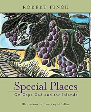 Immagine del venditore per Special Places on Cape Cod and the Islands venduto da ZBK Books