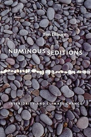 Seller image for Numinous Seditions : Interiority and Climate Change for sale by GreatBookPrices