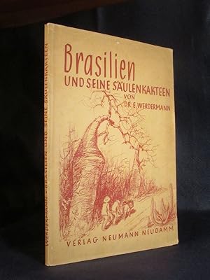 Brasilien und seine Säulenkakteen.