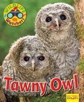 Bild des Verkufers fr Owen, R: Wildlife Watchers: Tawny Owl zum Verkauf von moluna