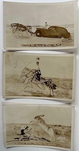 Humorous photo post cards involving grasshoppers and an outsized rabbit