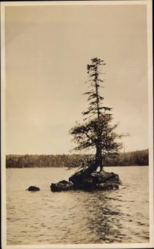 Ansichtskarte / Postkarte Lake Linden Michigan USA, Teilansicht, Baum mitten im See