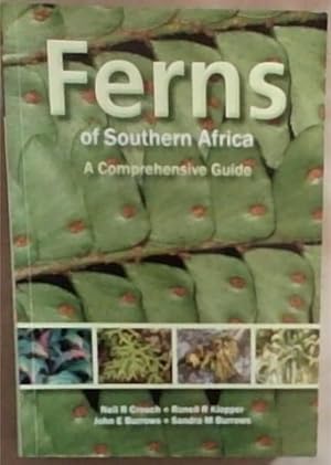 Imagen del vendedor de Ferns of Southern Africa: A Comprehensive Guide a la venta por Chapter 1