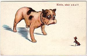 Bild des Verkufers fr 16077 Humor Ak Hund "Klein, aber o h o !" um 1920 zum Verkauf von Versandhandel fr Sammler