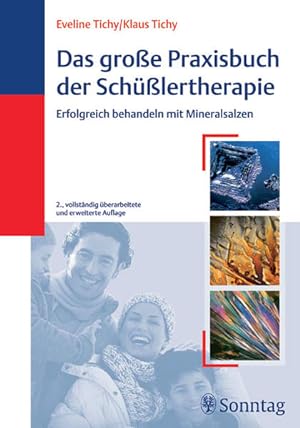 Bild des Verkufers fr Das groe Praxisbuch der Schlertherapie Erfolgreich behandeln mit Mineralsalzen zum Verkauf von Leipziger Antiquariat