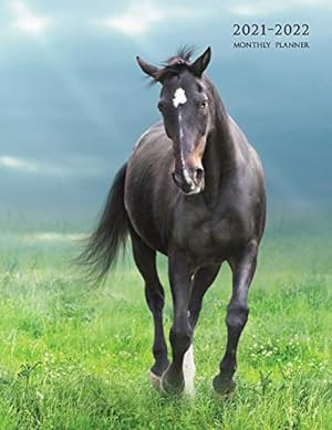 Immagine del venditore per 2021-2022 Monthly Planner: Large Two Year Planner (Running Black Horse) [Soft Cover ] venduto da booksXpress